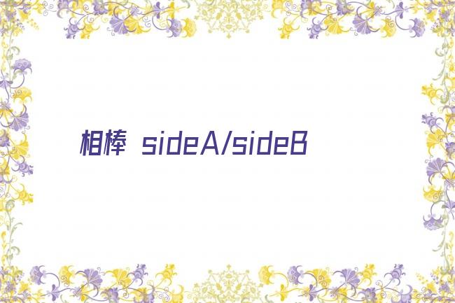 相棒 sideA/sideB剧照